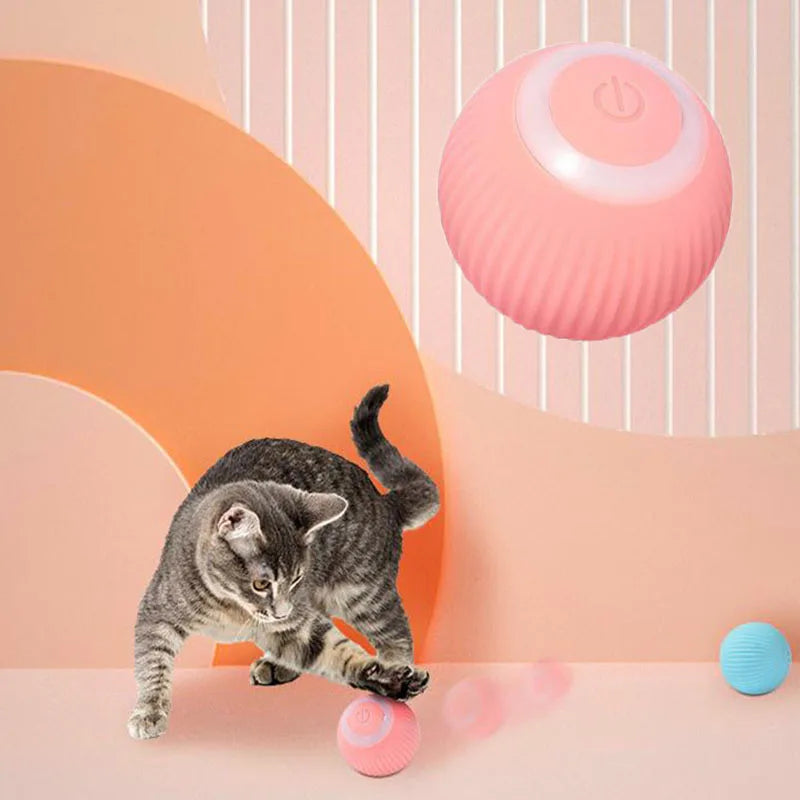Brinquedo Luminoso e Automático - Você proporciona horas de diversão e entretenimento para seus pets