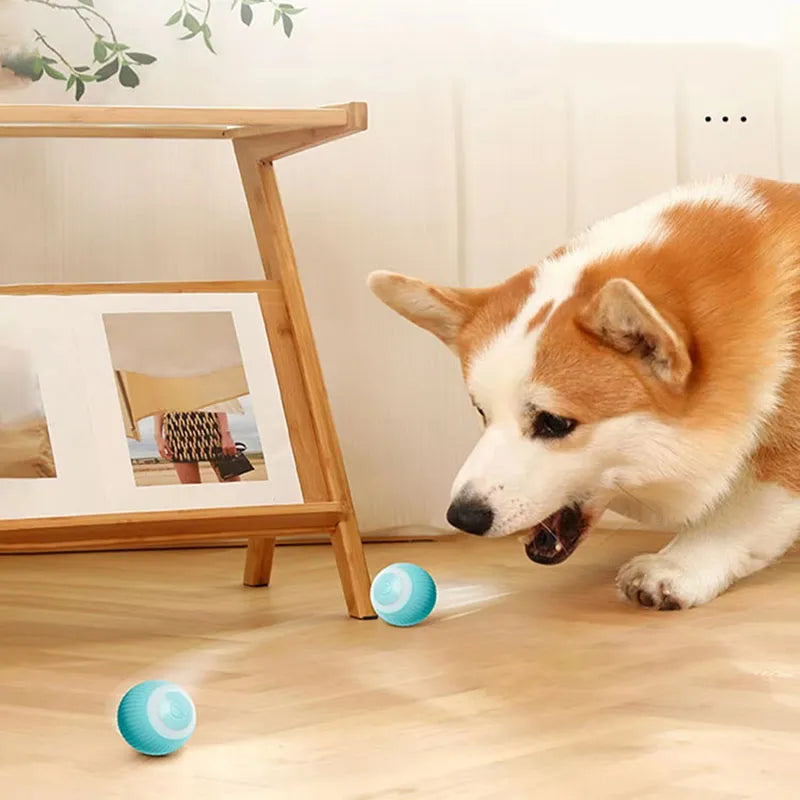 Brinquedo Luminoso e Automático - Você proporciona horas de diversão e entretenimento para seus pets