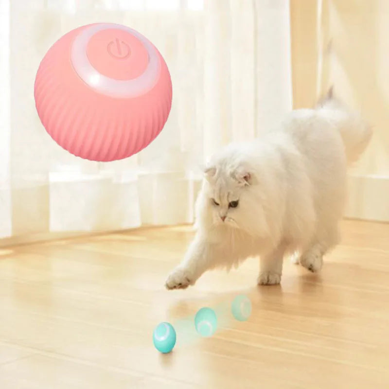 Brinquedo Luminoso e Automático - Você proporciona horas de diversão e entretenimento para seus pets