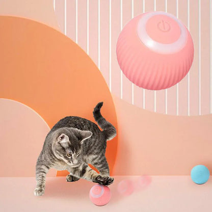 Brinquedo Luminoso e Automático - Você proporciona horas de diversão e entretenimento para seus pets