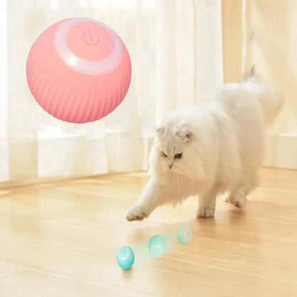 Brinquedo Luminoso e Automático - Você proporciona horas de diversão e entretenimento para seus pets