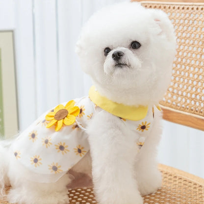 Vestidinho elegante e charmoso para cadelinha - Sua amiguinha vestida com luxo e elegância sem limitar sua liberdade.