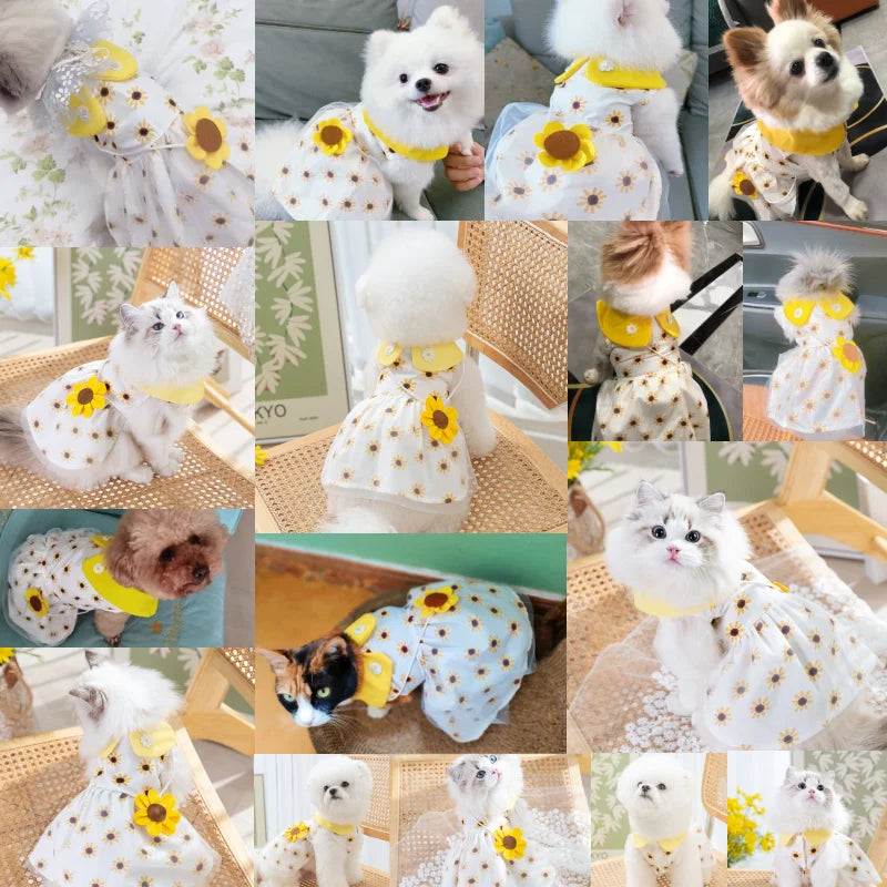 Vestidinho elegante e charmoso para cadelinha - Sua amiguinha vestida com luxo e elegância sem limitar sua liberdade.